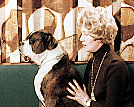 An intersex dog.