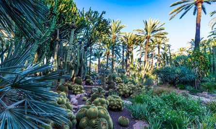A cactus garden at Elche’s Palmera.