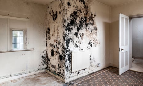 Black mould caused by damp penetration in an empty house. It is a known health risk