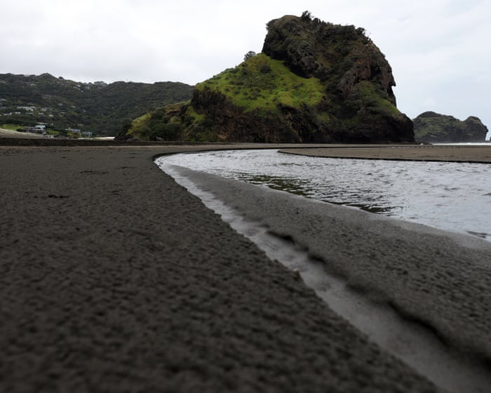 What connects six disappearances in a picturesque New Zealand town? ‘Everyone has a theory’