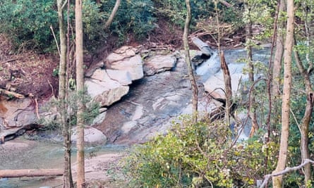 a stream in a wood