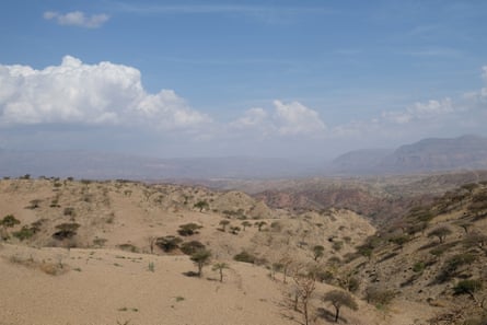 Tress on dusty hills with little vegetation due to drought