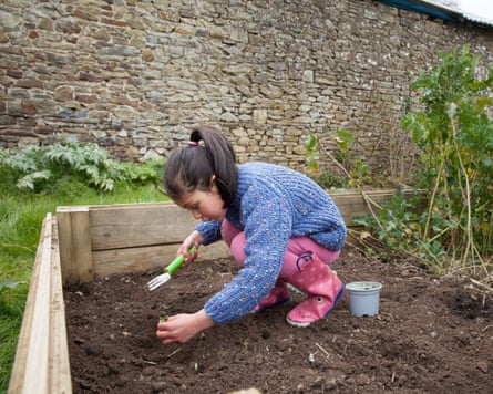 Young girl in vegetable patch
