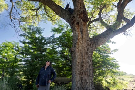 A woman stands underneath a large tree.