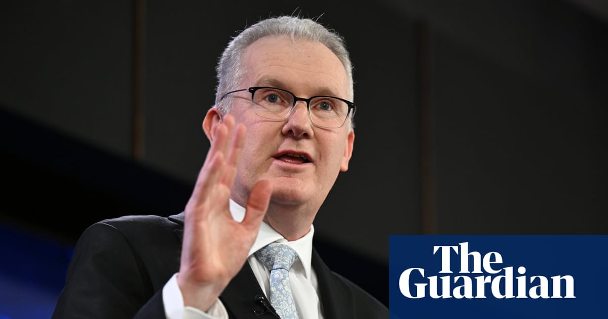 Tony Burke on Labor’s immigration shake-up – Australian Politics podcast