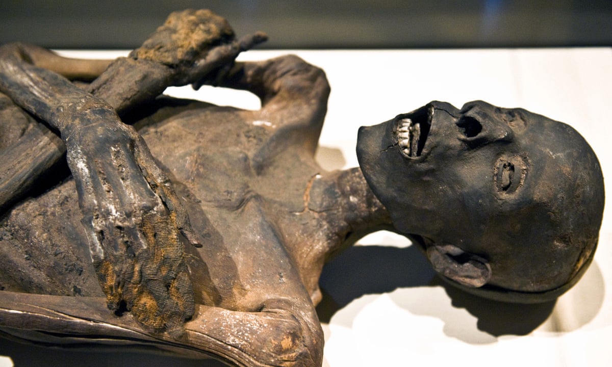 egyptian mummies tobacco Smoked ancestors for a pack of smokes | Letters egyptian mummies tobacco Smoked ancestors for a pack of smokes | Letters