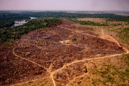 An aerial photograph showing an area of deforestation in the Amazon in Brazil