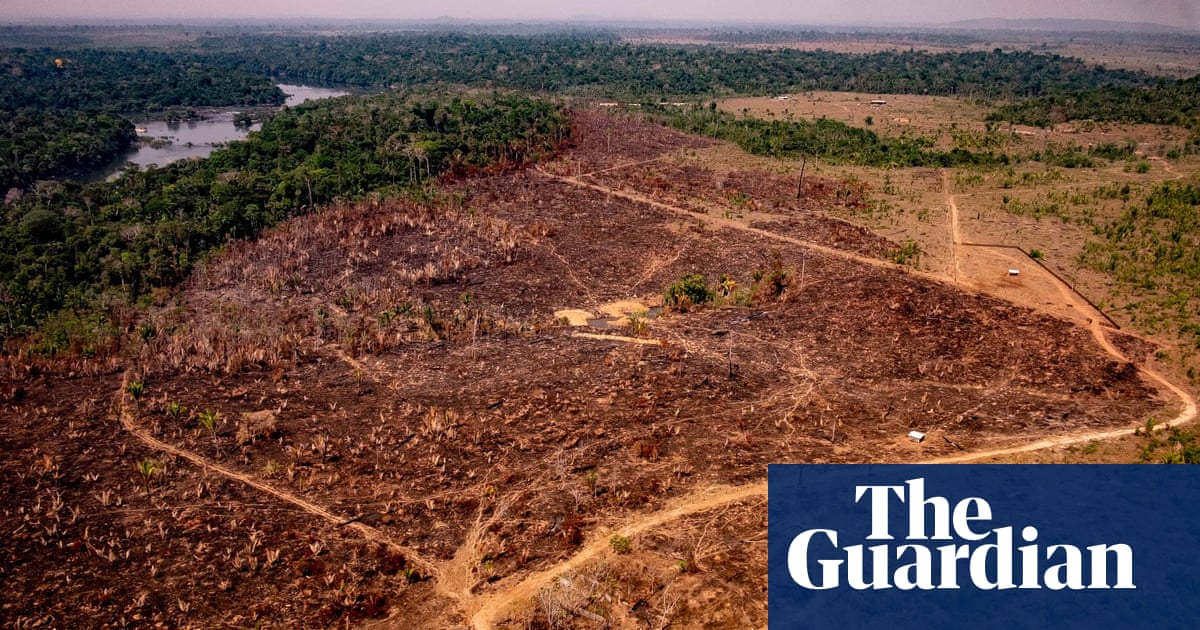 Deforestation In Brazilian Amazon Hits Highest Annual Level In A Decade Amazon Rainforest The Guardian Deforestation In Brazilian Amazon Hits Highest Annual Level In A Decade Amazon Rainforest The Guardian