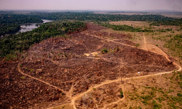 ‘Deforestation is still out of control,’ Carlos Souza, a researcher at Imazon said.