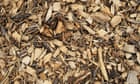 How to turn wood chips into a great compost heap | Alys Fowler