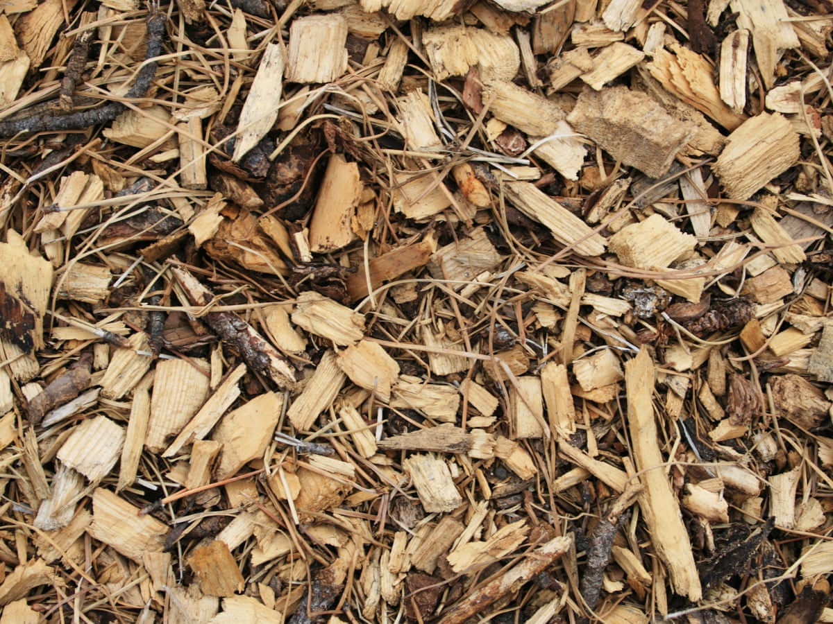 How To Turn Wood Chips Into A Great Compost Heap Alys Fowler