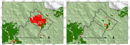 Forest clearance on ABN’s plantation between June 2016 and March 2017 (l) and between March 2017 and June 2017, according to RAN satellite data