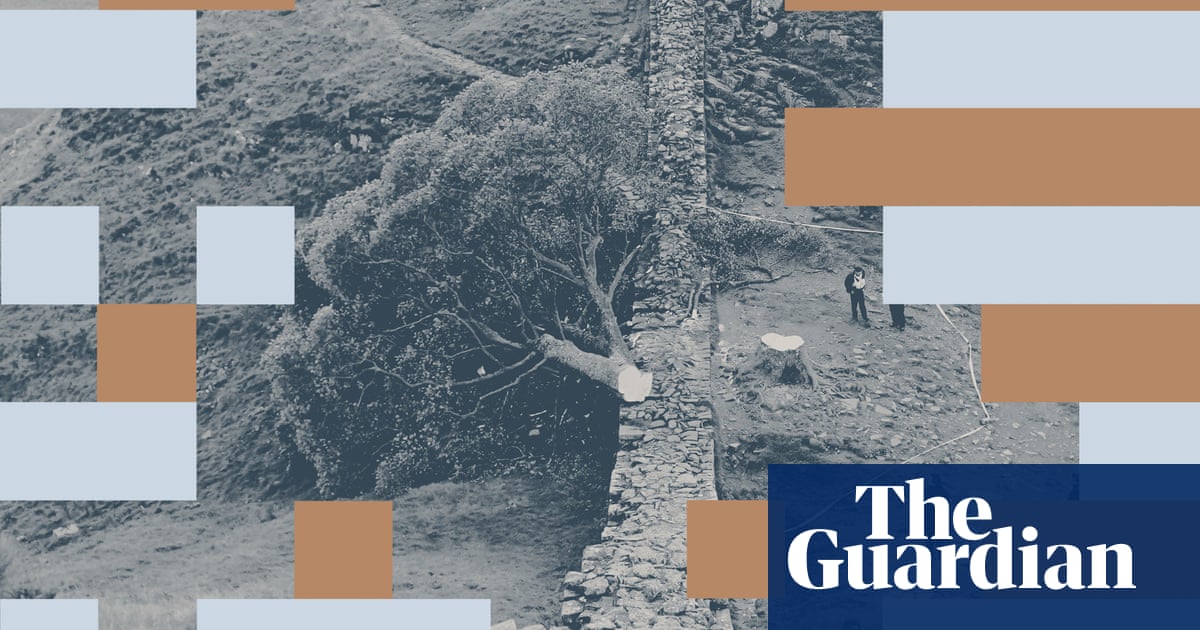 There's no excuse for chopping down a thing of beauty. And I don't just mean the Sycamore Gap tree