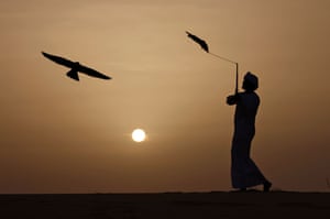 Al-Dhafra, UAE. An Emirati falconer trains his falcon before the end of the season in the desert