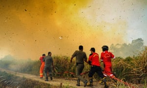 Fire fighters rush to douse a fire on a sago plantation caused by hot, dry weather in Meranti Islands, Indonesia.