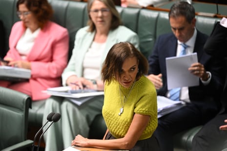 Anne Aly speaks during question time