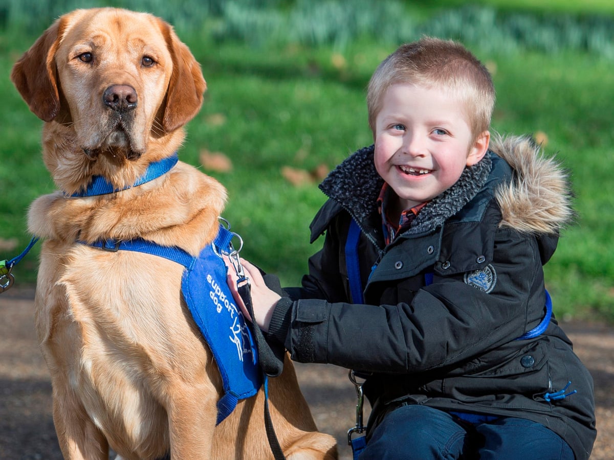 Atisdom Dog How Does A Dog Help Autism