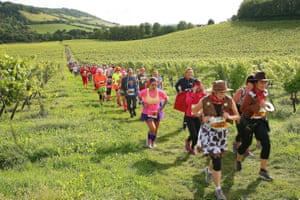 A fun run through the vineyard