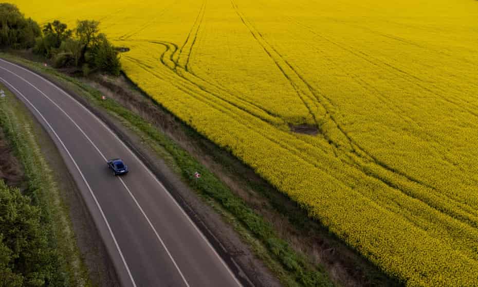 A rapeseed flower field outside Dnipro amid Russia's invasion of Ukraine.