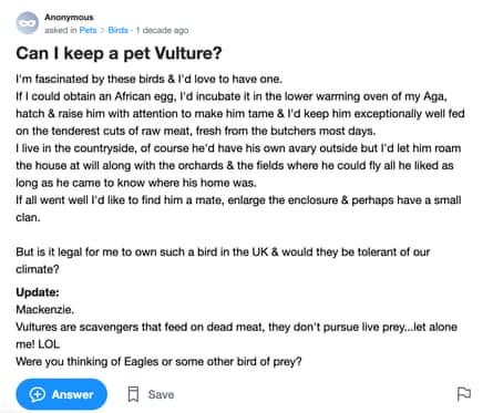 A screengrab from a Yahoo! Answers page asking: Can I keep a pet Vulture?