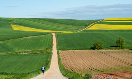 The most popular route is the Camino Francés from St. Jean-Pied-du-Port in France to Santiago