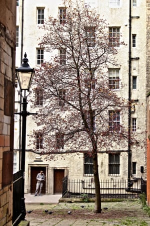 A tree in a narrow alleyway in Edinburgh