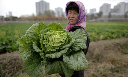 A farmer carries a cabbage on the outskirts of Pyongyang