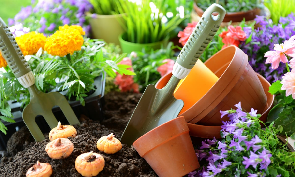 Gardening Tools For Beginners