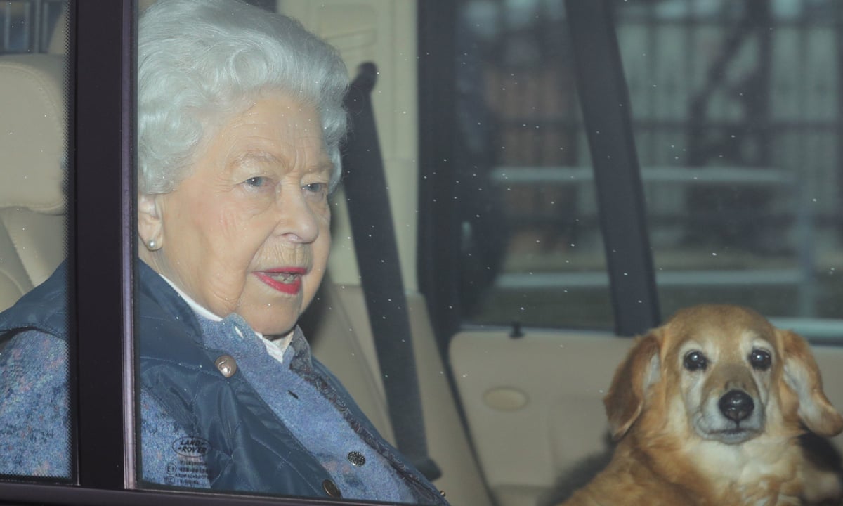 Queen Tells Uk To Focus On The Common Goal In Coronavirus Message World News The Guardian