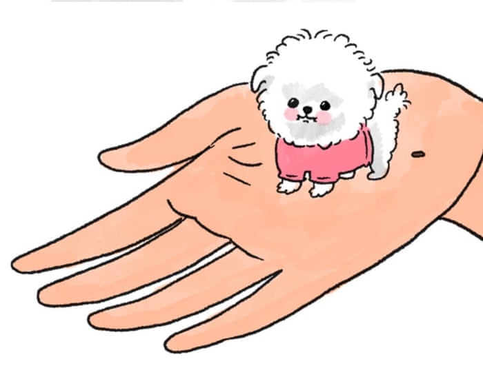 A dog’s life … is cushier than mine: the Edith Pritchett cartoon