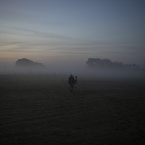 Le manadier Jean-Claude Groul va chercher son cheval à l'aube pour commencer le travail de la journée à la Manade Saint-Louis.