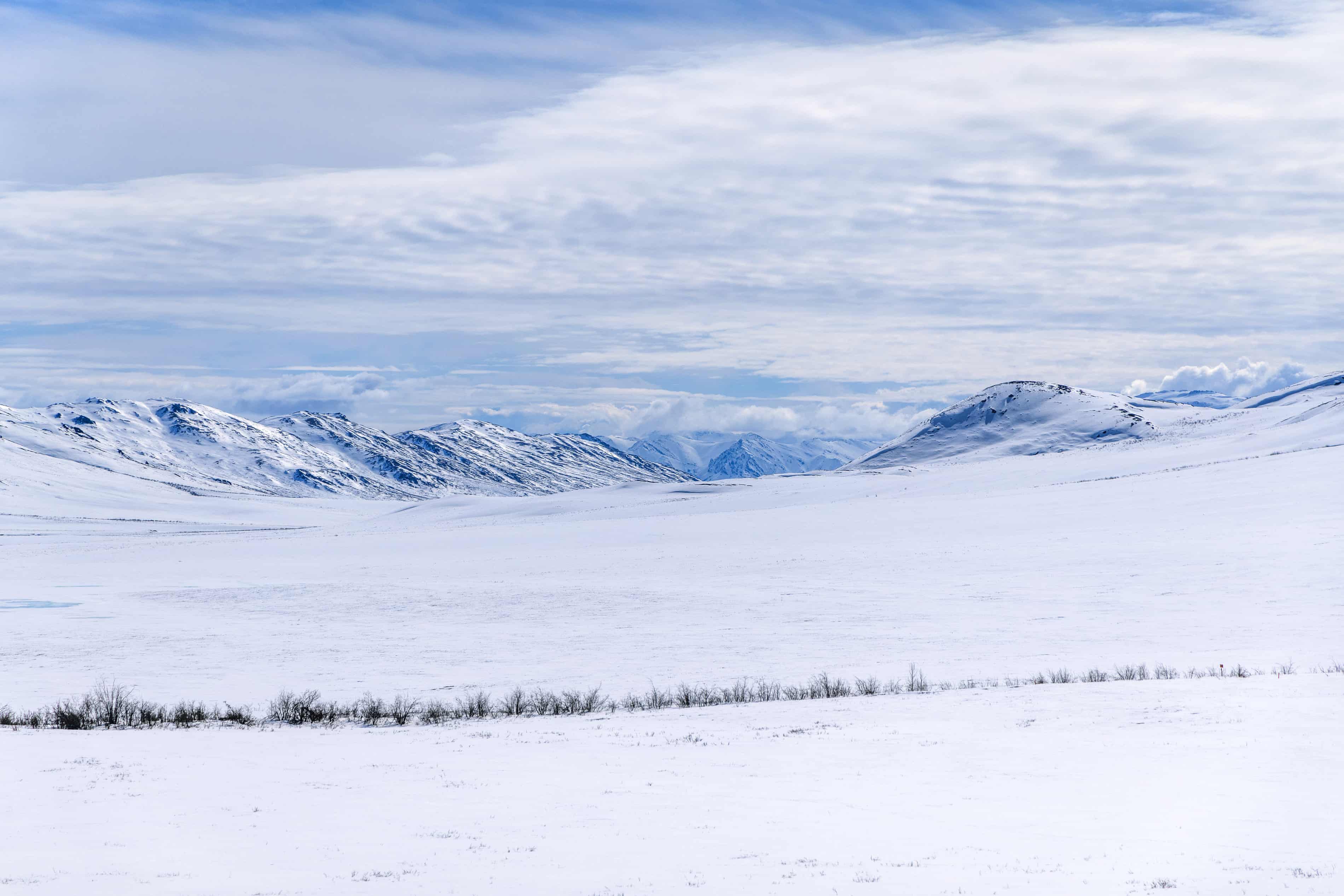 If Trump wins the election, US parks and wildlife will face a new age of mining (theguardian.com)