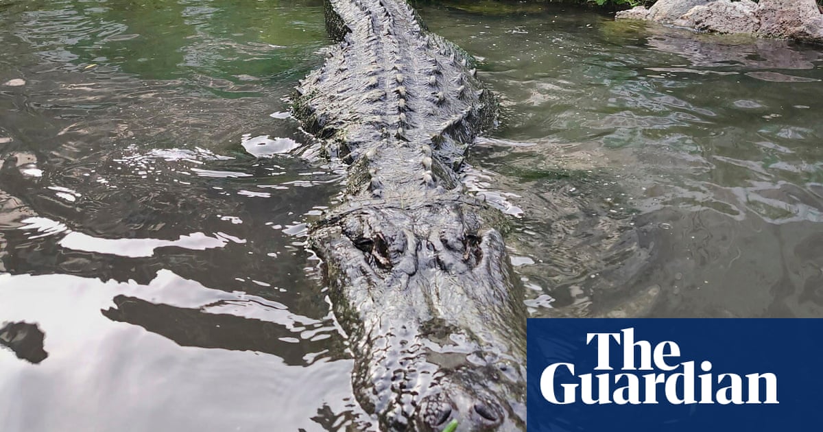 Morris the alligator, known for Happy Gilmore and other films, dies around age 80
