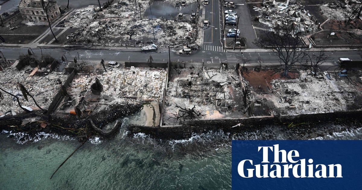 Coral are going to die Maui wildfires take toxic toll on marine ecology  The Guardian US Coral are going to die Maui wildfires take toxic toll on marine ecology  The Guardian US