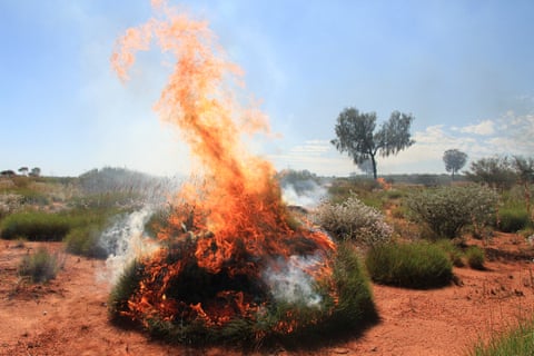 Spinifex burning in the Katiti Petermann Indigenous protected area, in the remote desert country near the Western Australia and Northern Territory border.