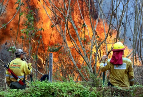 Firefighters work to extinguish a fire in the community of Palestina, Bolivia, 13 September 2024.