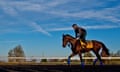 American Pharoah exercises in preparation for the Breeders’ Cup Classic at Keeneland Race Track in Lexington, Kentucky.