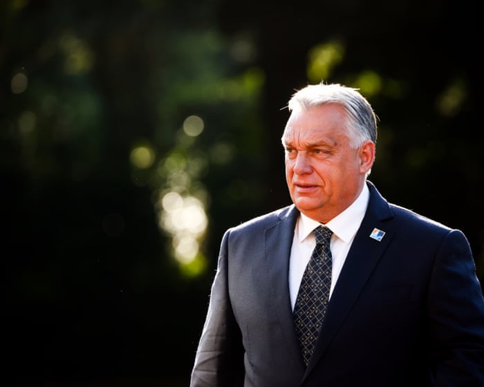 Hungary documentary reveals sobering similarities between Orbán and Trump