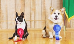 Portrait of dog show winners<br>AWY21C Portrait of dog show winners