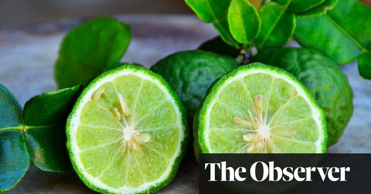 From kumquats to lime caviar: UK foodies embrace a whole new world of citrus