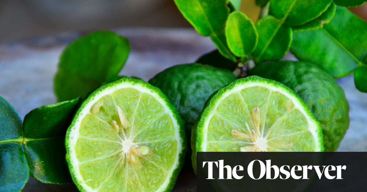 From kumquats to lime caviar: UK foodies embrace an entire new world of citrus From kumquats to lime caviar: UK foodies embrace an entire new world of citrus