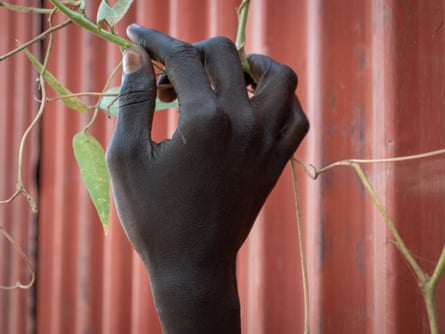 A hand touches the stalk of a vine