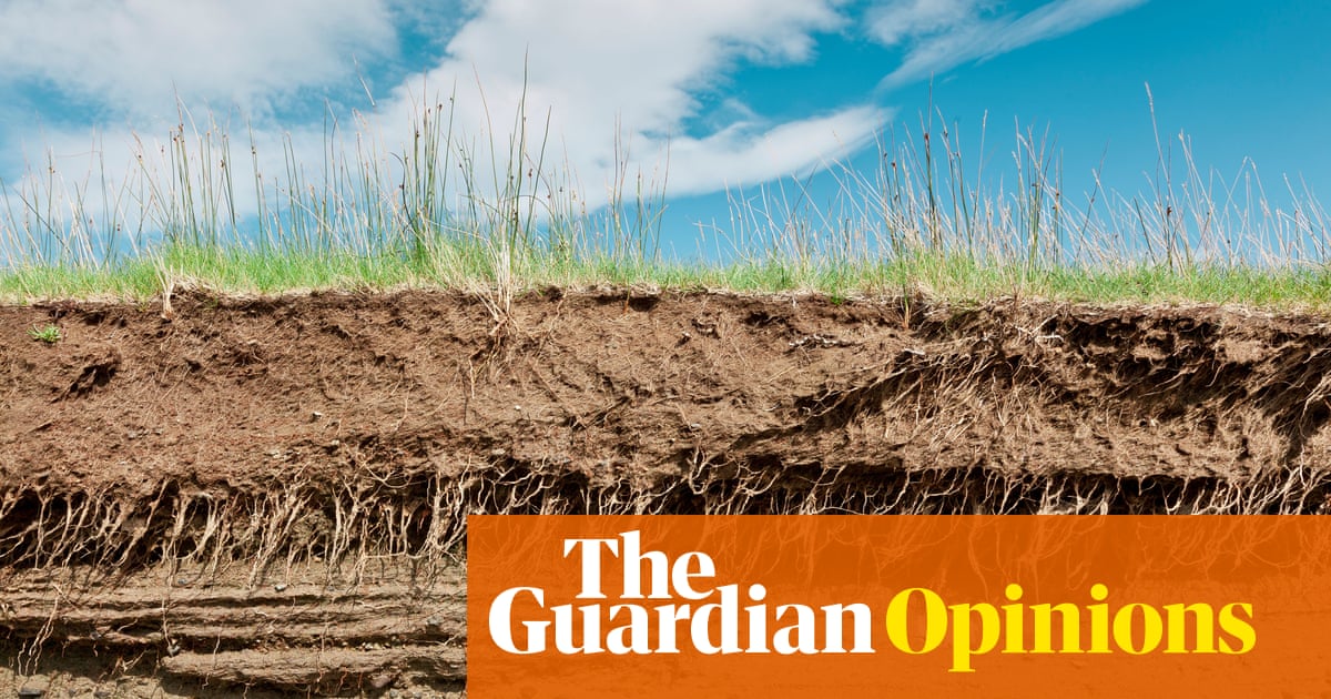 The pandemic is a warning: we must take care of the earth, our only home | Bruno Latour