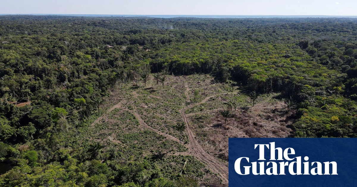 brazil-supreme-court-ruling-to-reactivate-amazon-fund-gives-hope-in-fight-to-save-rainforest