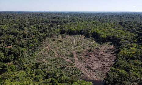 A deforested plot of the Amazon rainforest in Manaus, Amazonas State, Brazil