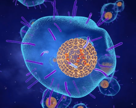 illustration of the varicella zoster virus