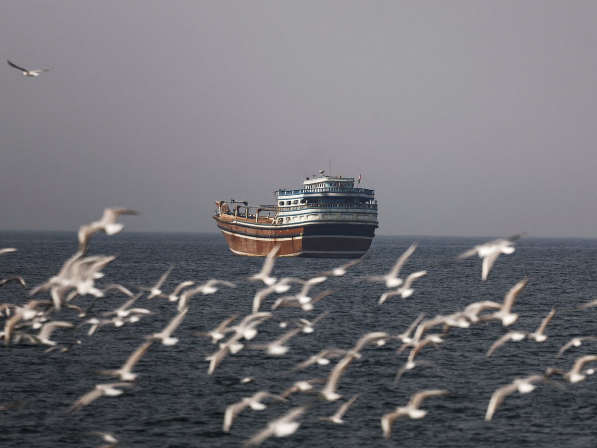 China calls for vessels in strait of Hormuz to be protected amid soaring shipping costs | Shipping industry | The Guardian