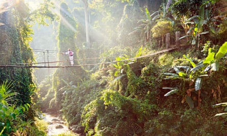 Woman with backpack on suspension bridge in rainforest
