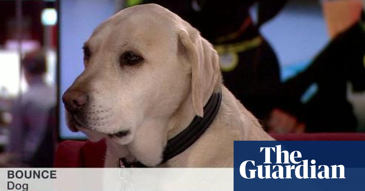 Crocs Shocks And Gender Swaps The Most Glorious Viral Tv Moments Of The Decade Television Radio The Guardian