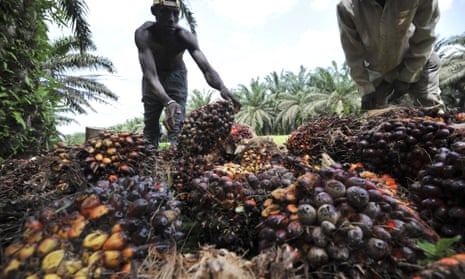 Oil palm workers